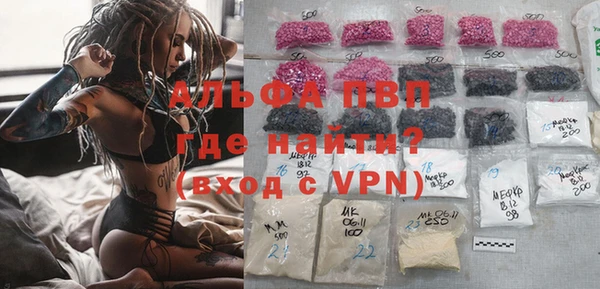 ECSTASY Инсар