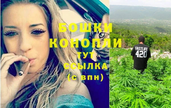 винт Инта