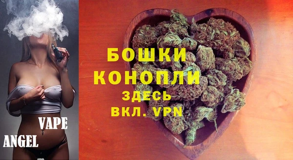 винт Инта