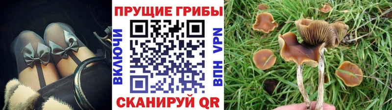 Купить закладки  Феодосия  Псилоцибиновые грибы GOLDEN TEACHER 
